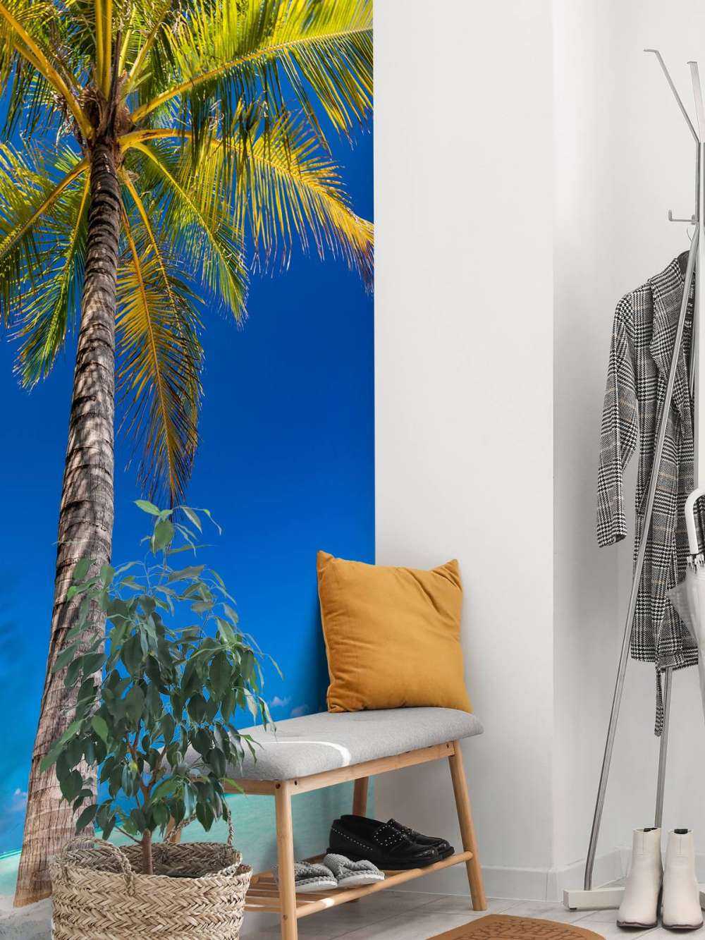 Palme på maldiverne