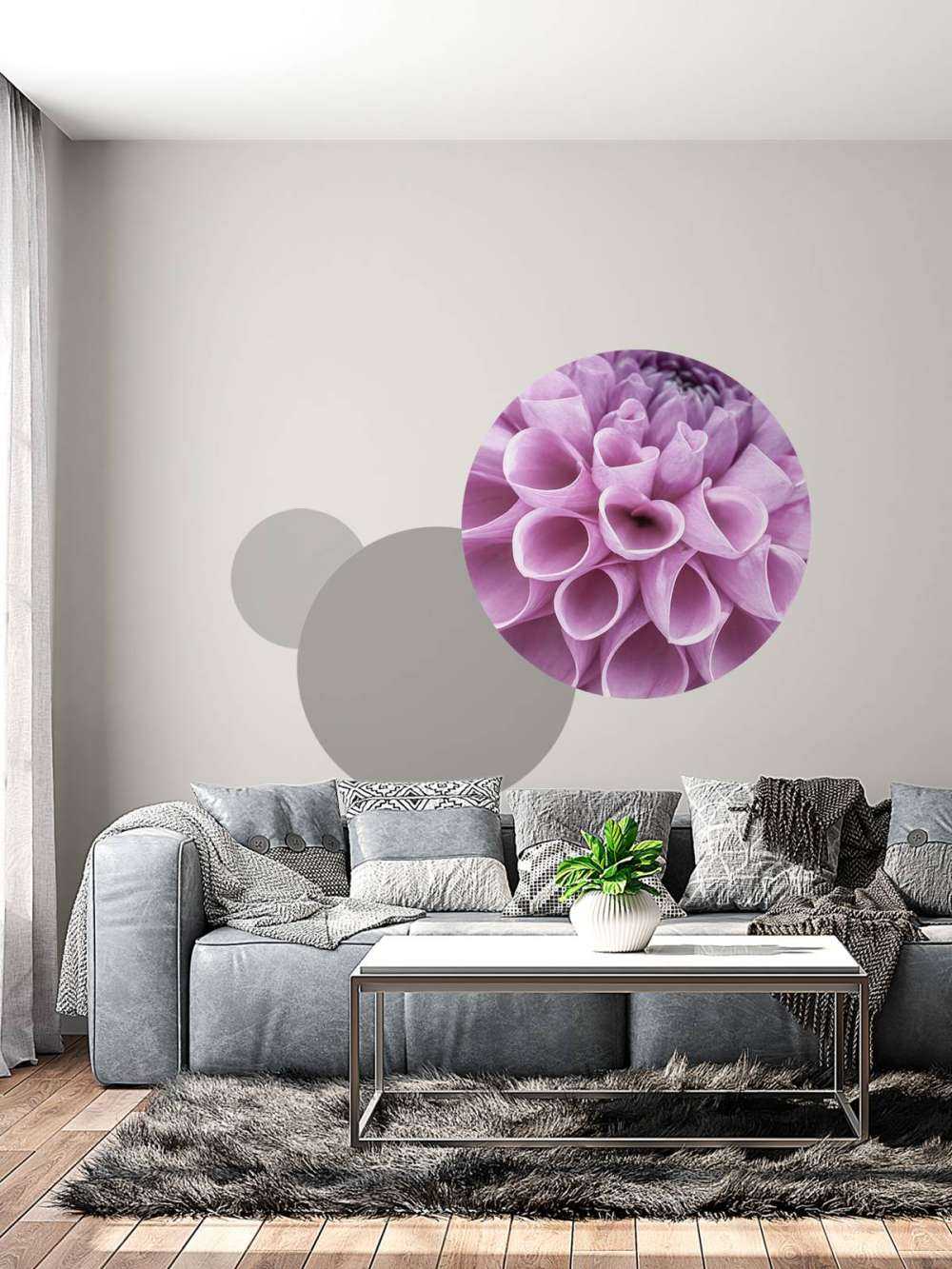 Lilla dahlia