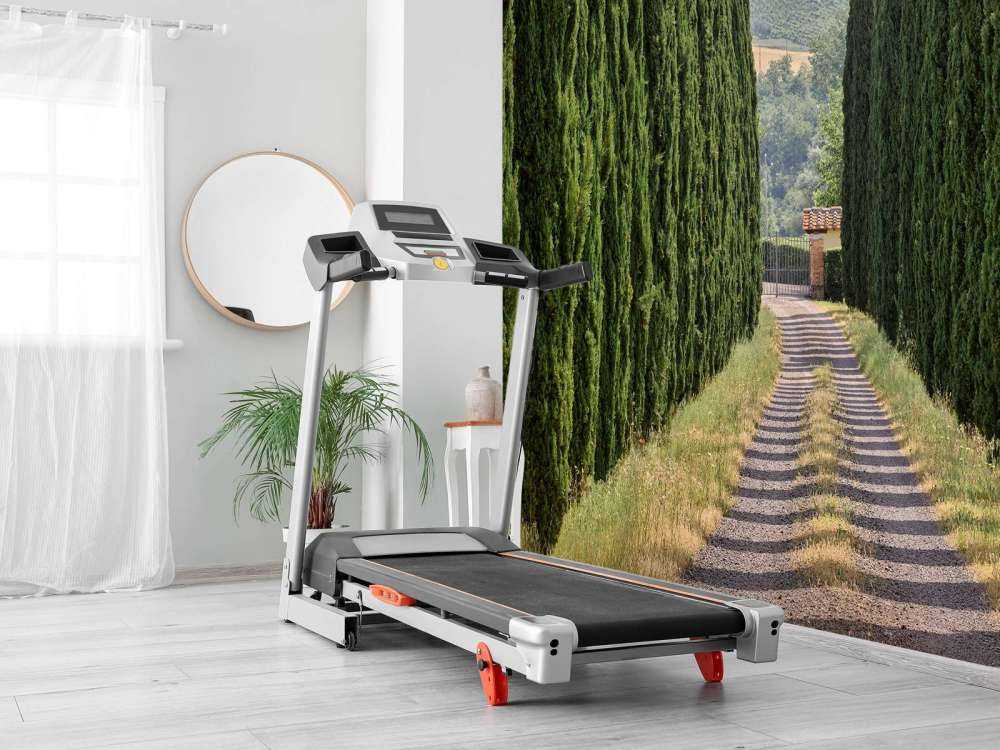 Avenue med cypresser