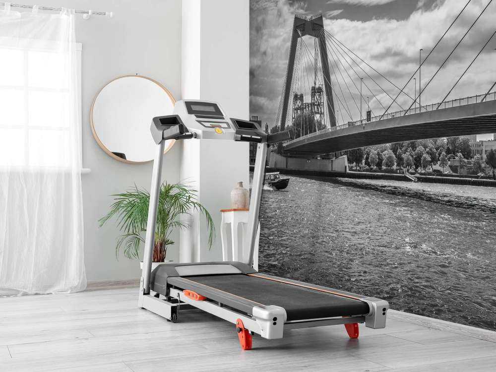 Passage af Prins Willem Alexander-broen i Rotterdam i sort/hvid  