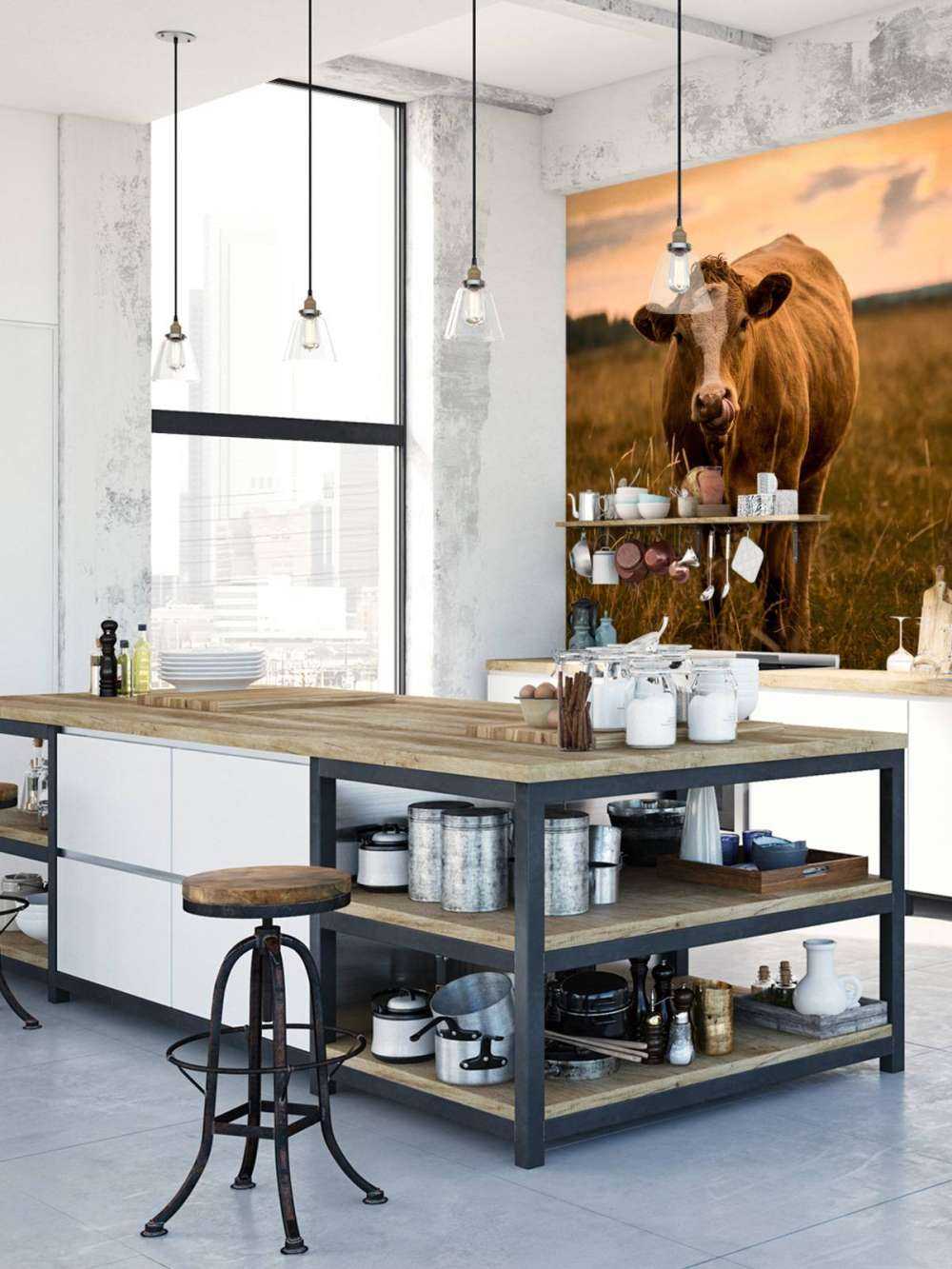 Ko med tungen i næsen