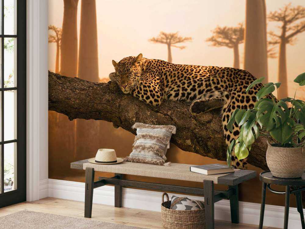 Sovende leopard
