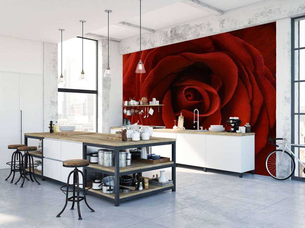 Nærbillede rød rose