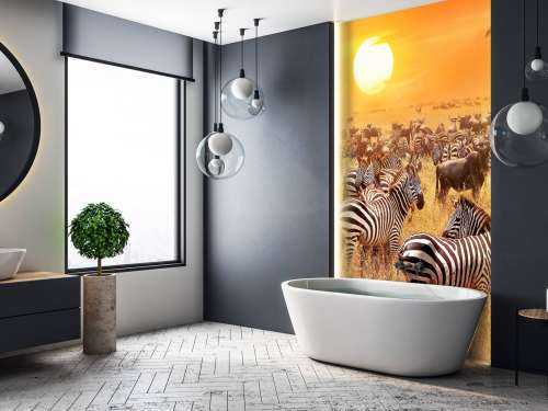 Savanna sol med zebraer