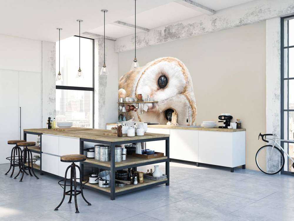 Ugle med hovedet på skrå