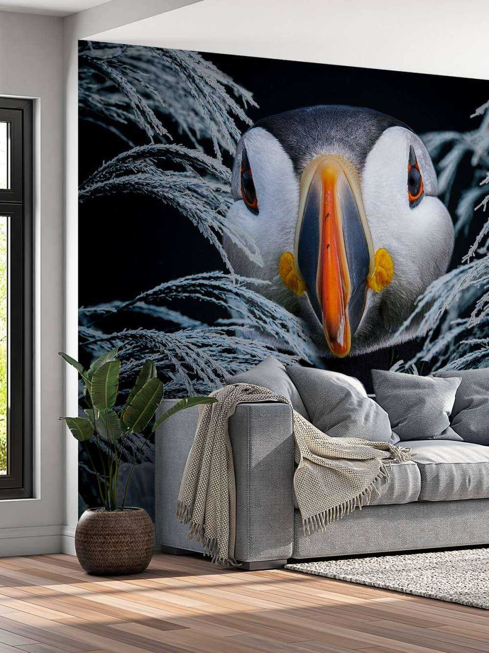 Atlantic Puffins Portræt