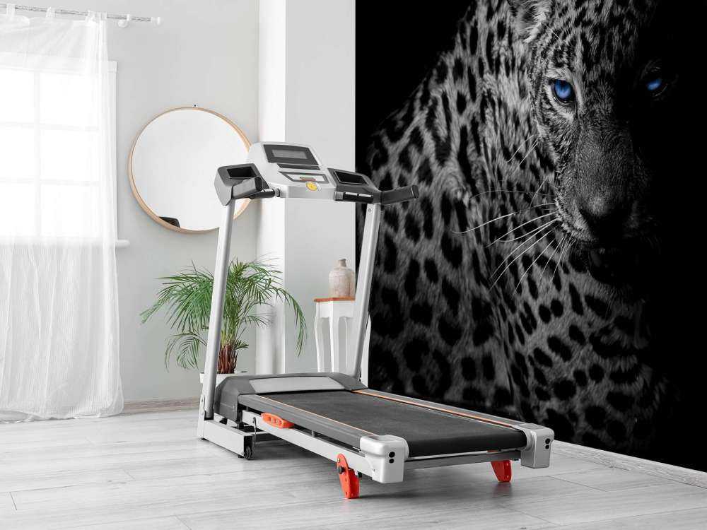 Leopard på svart tapet