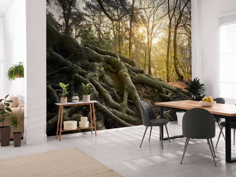 Trerøtter over bakken