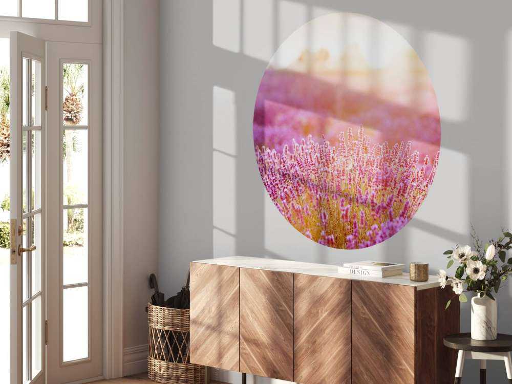 Nærbilde lavendelblomster