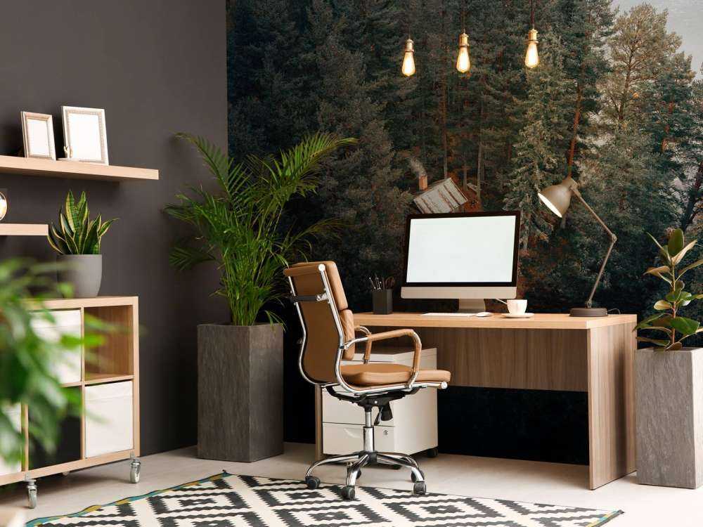 Hytte omgitt av skog og innsjøer