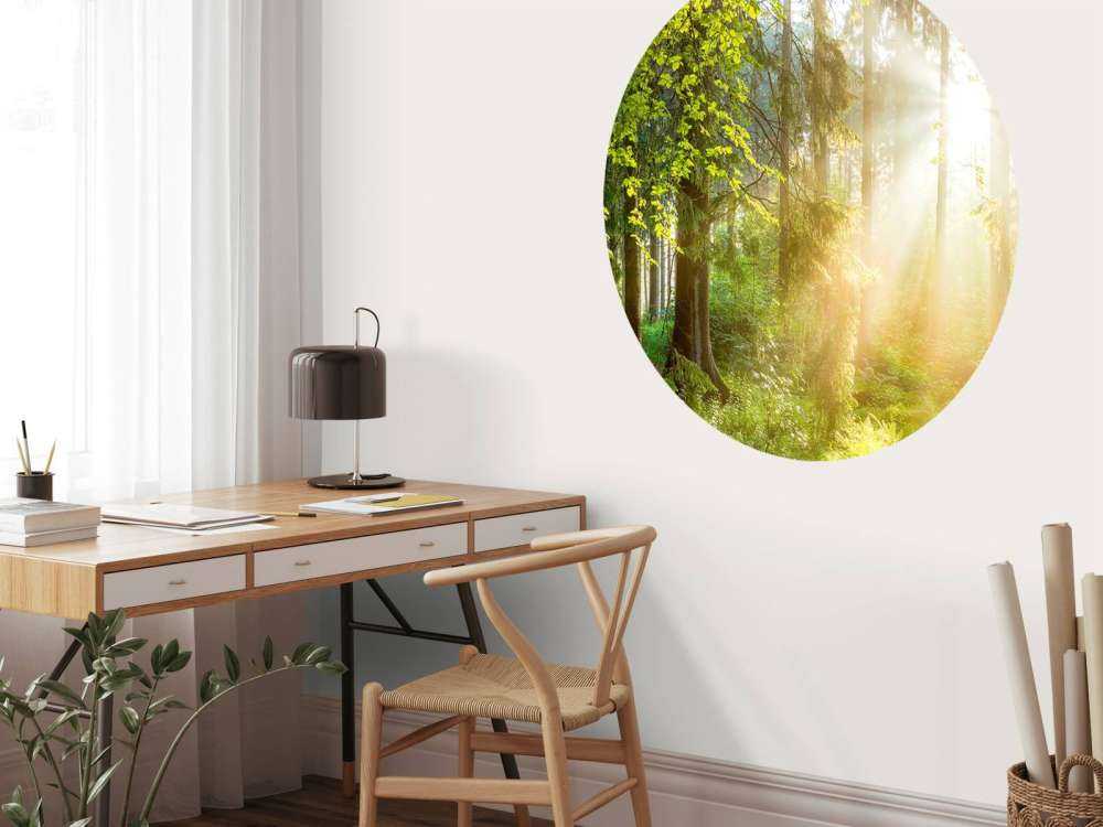 Skoglandskapp ved soloppgang