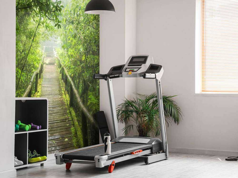 Grønn, tåkete jungel