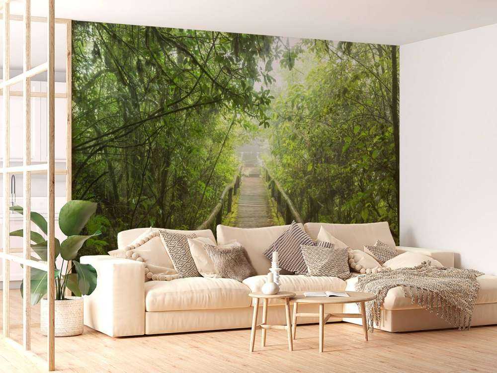 Grønn, tåkete jungel