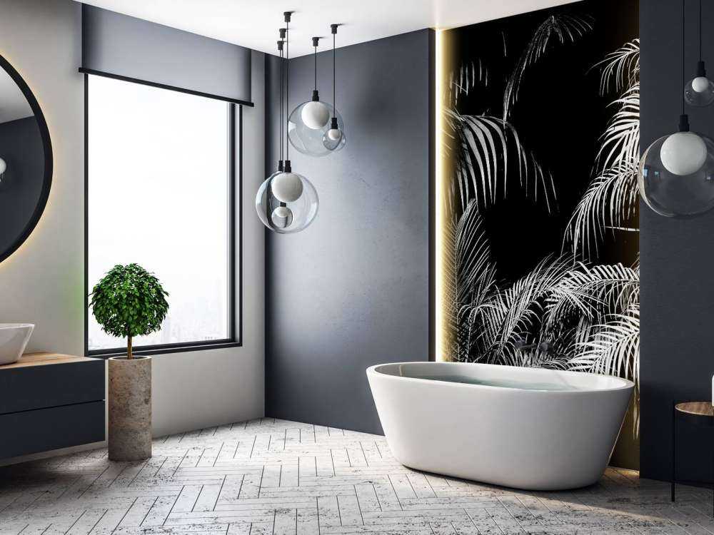 Plante med hvite blader