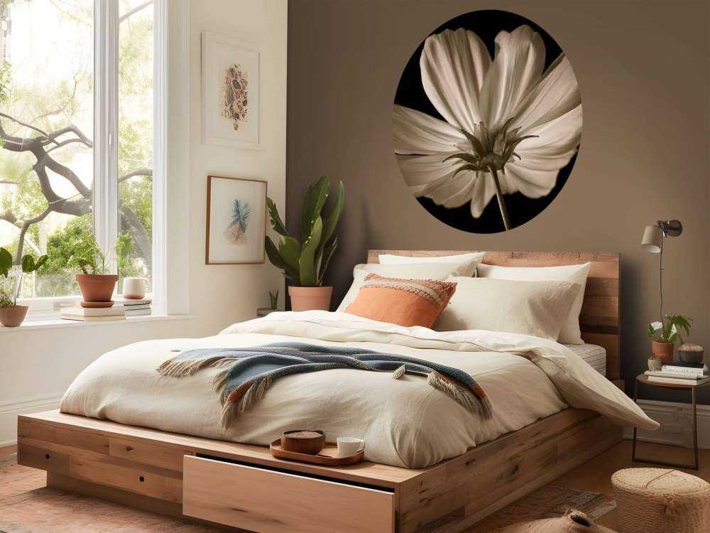 Kosmosblomst nedenfra