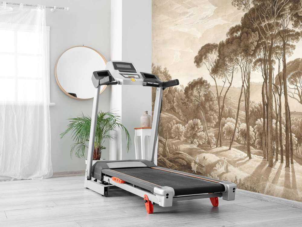 Skoglandskap nær Roma med solnedgang