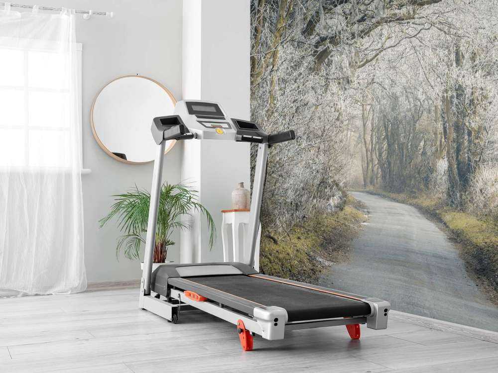 Frosset vei gjennom skog