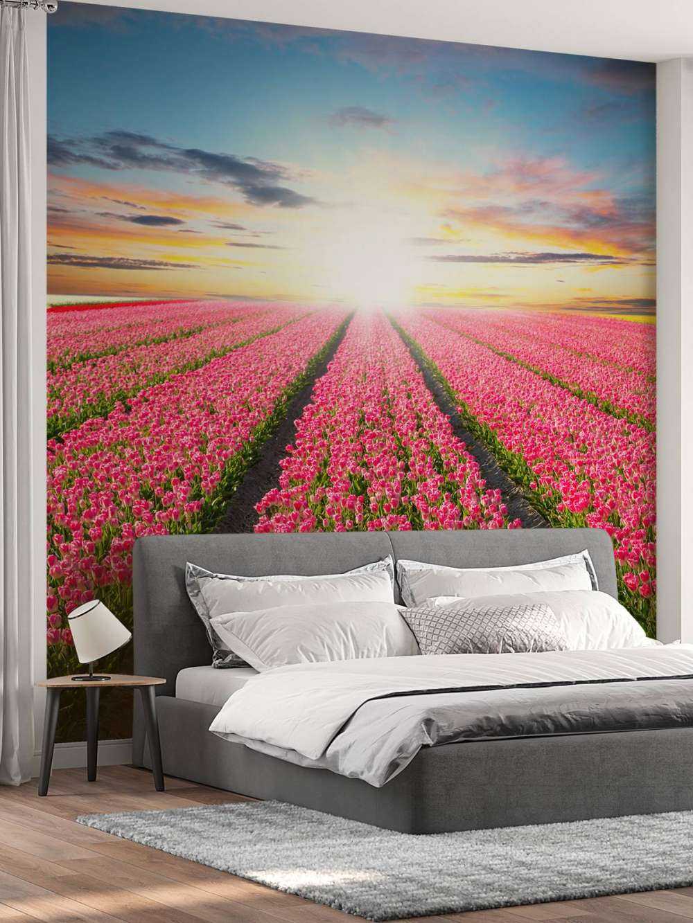 tulipanner med stigende sol