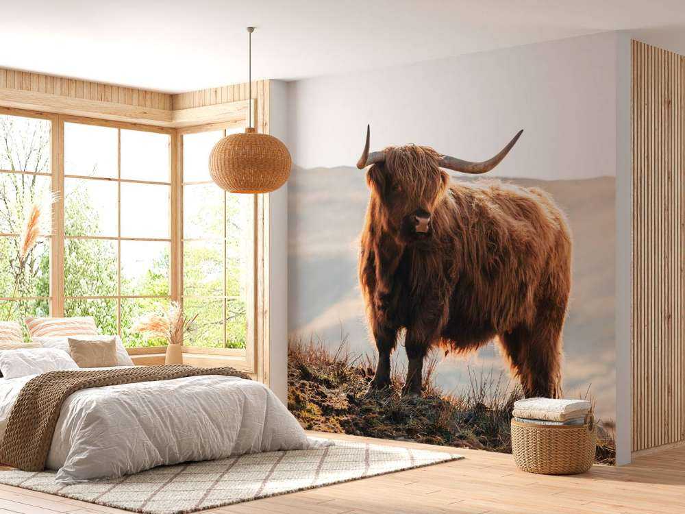 Det skotske høylandet på en høyde