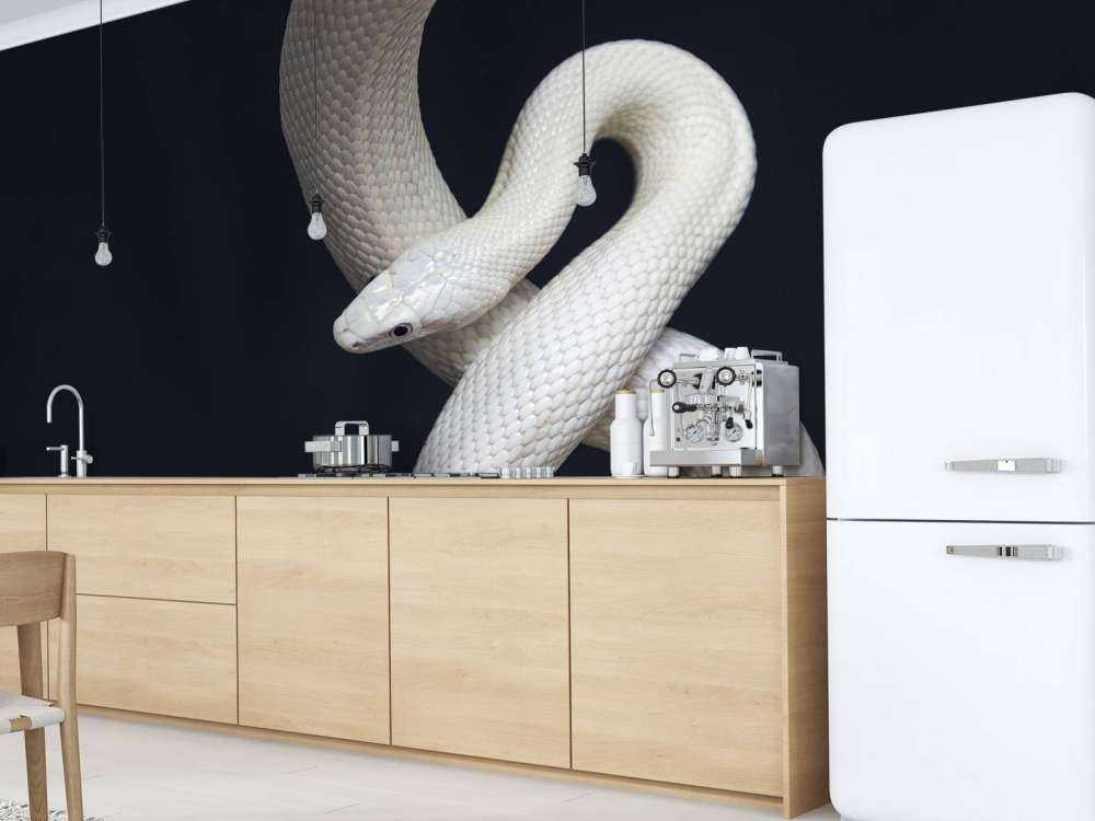 Texan rat snake