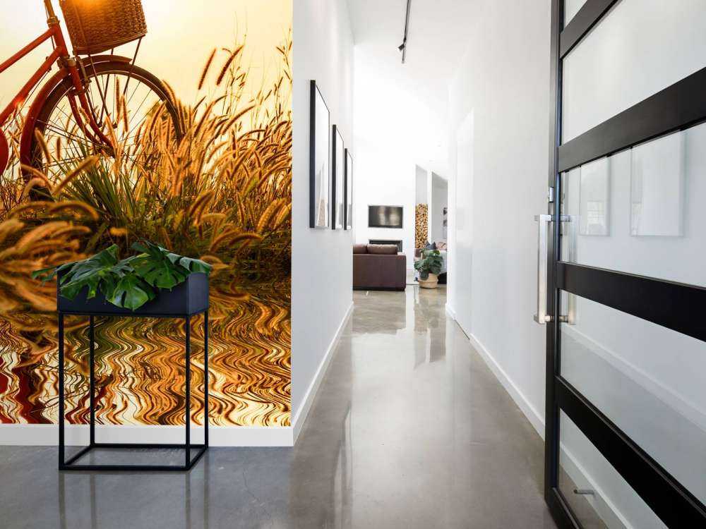 Sykkel ved solnedgang