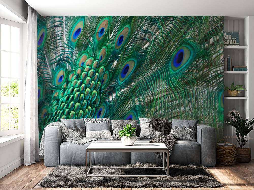 Farget fjærdrakt av en påfugl