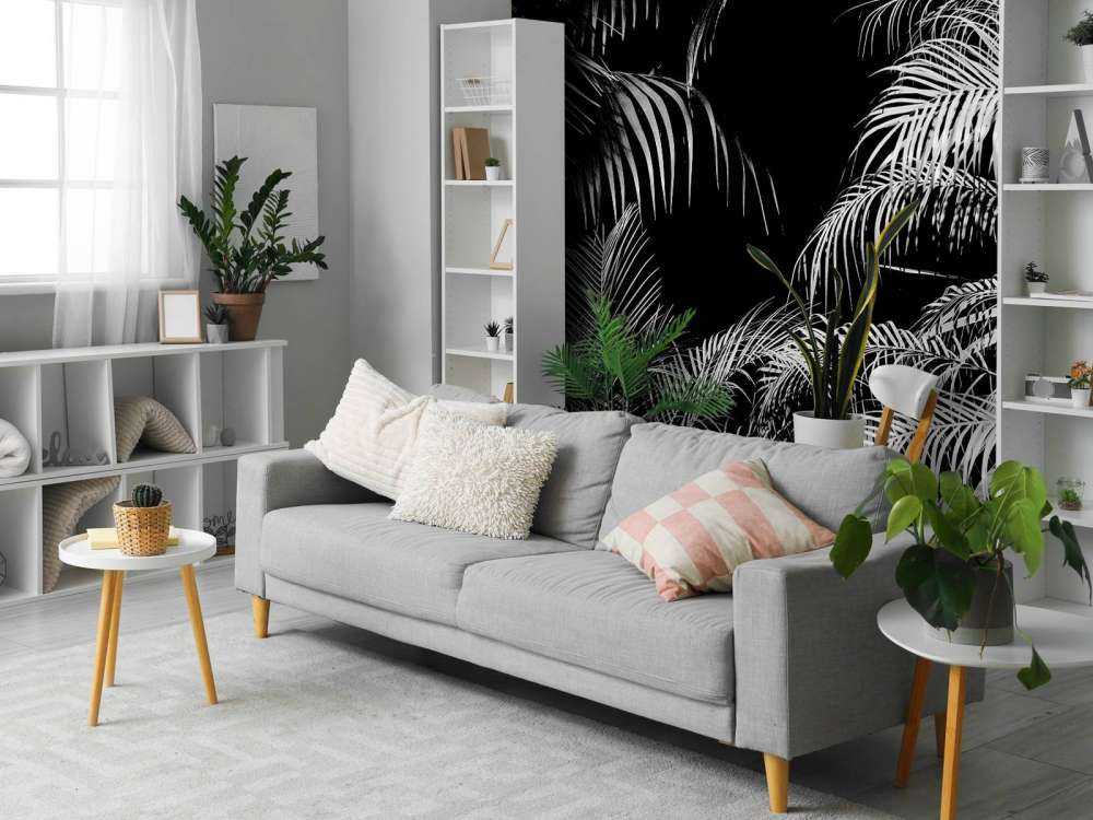 Plante med hvite blader