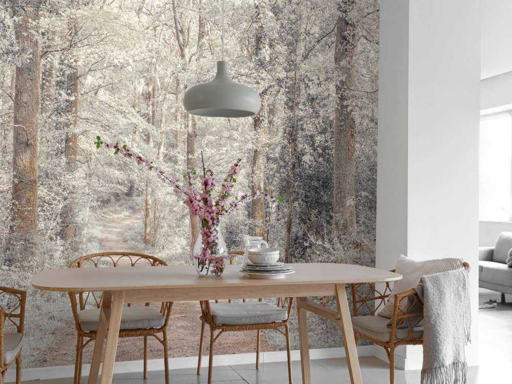 En sti gjennom en grønn skog