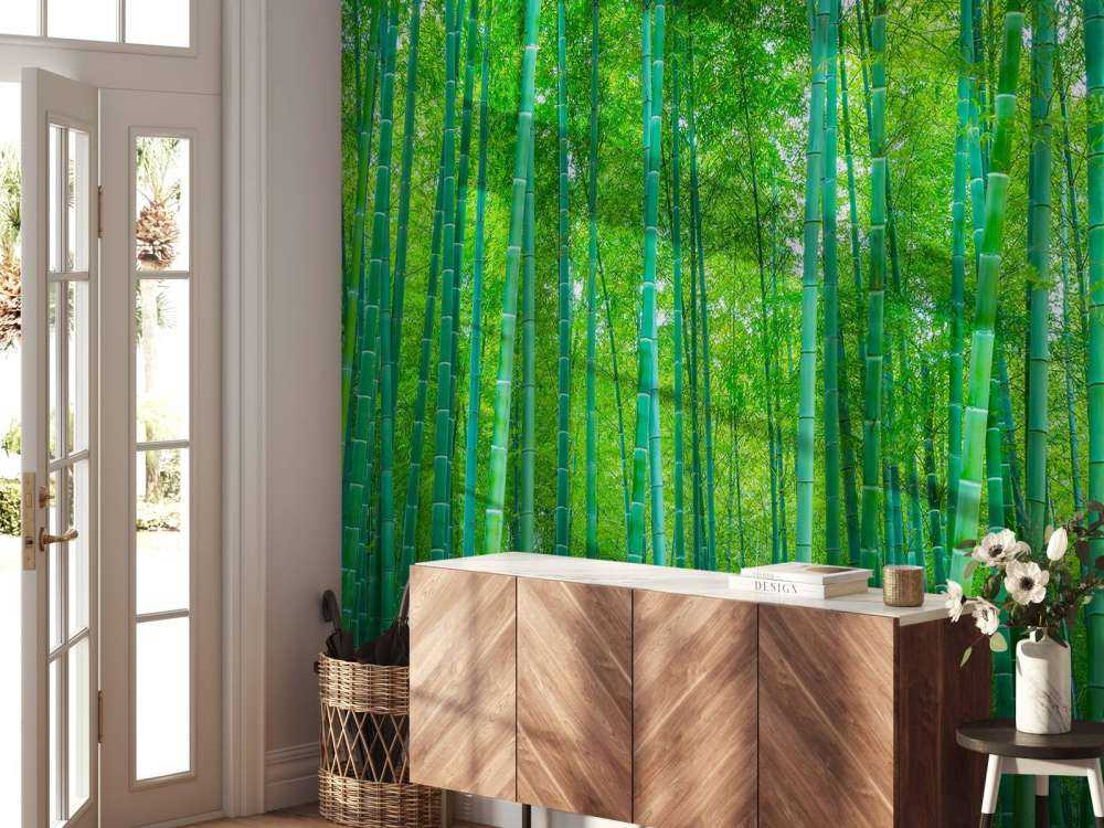 En grønn bambusskog