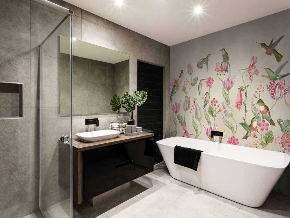 Kolibri Tulipansymfoni