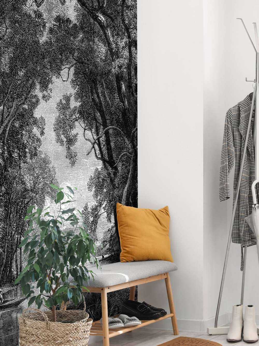 Gammel elv i jungelen