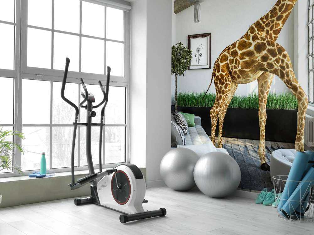 Giraffe hjemme