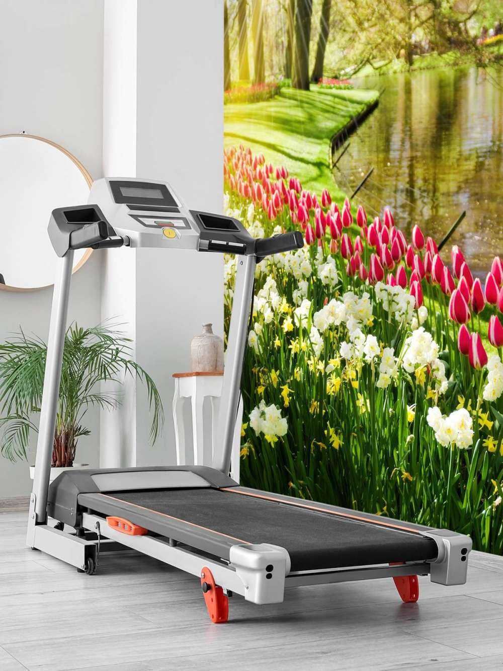 Blomster i en solrik park