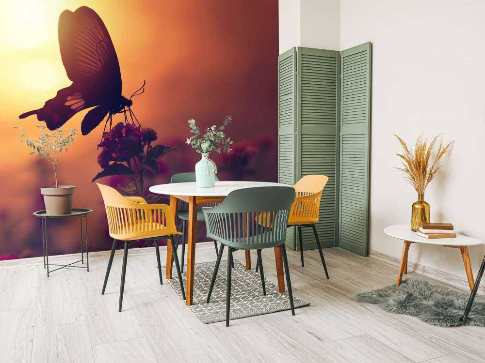 Sommerfugl med solnedgang