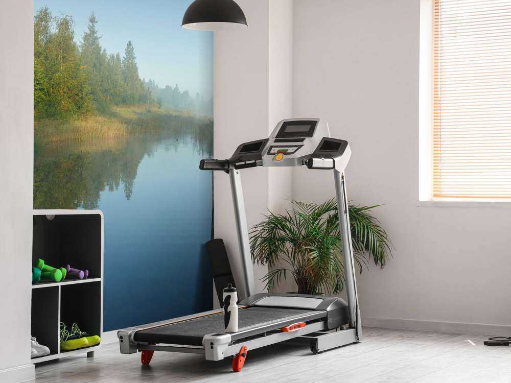 tretillatelse i skogen