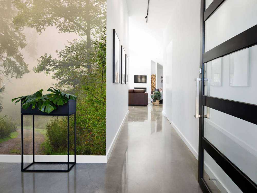 Veien gjennom tåkete skog