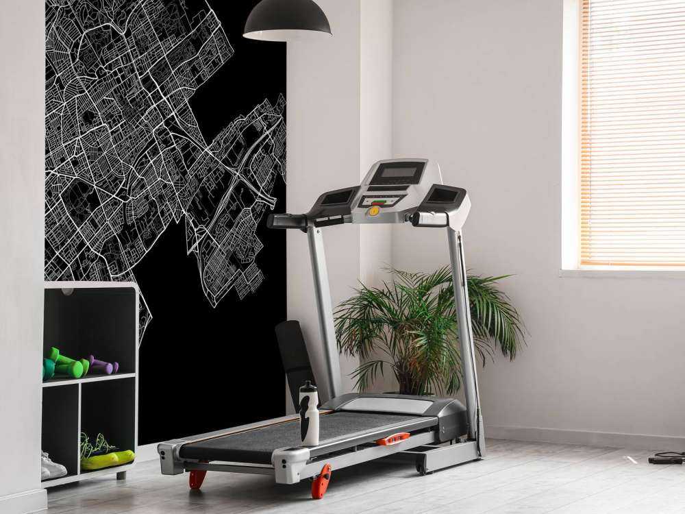 Kart over Haag, svart