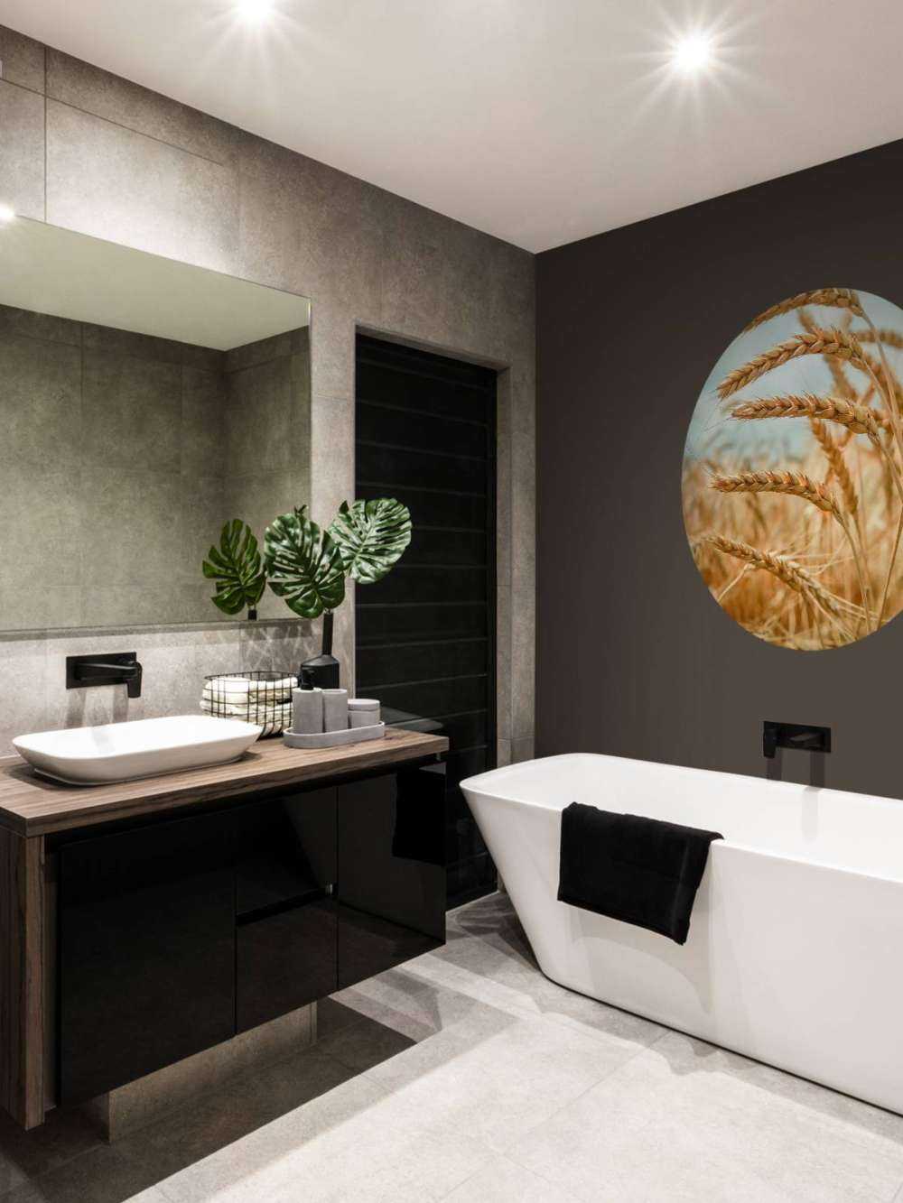 Nærbilde av en kornplante