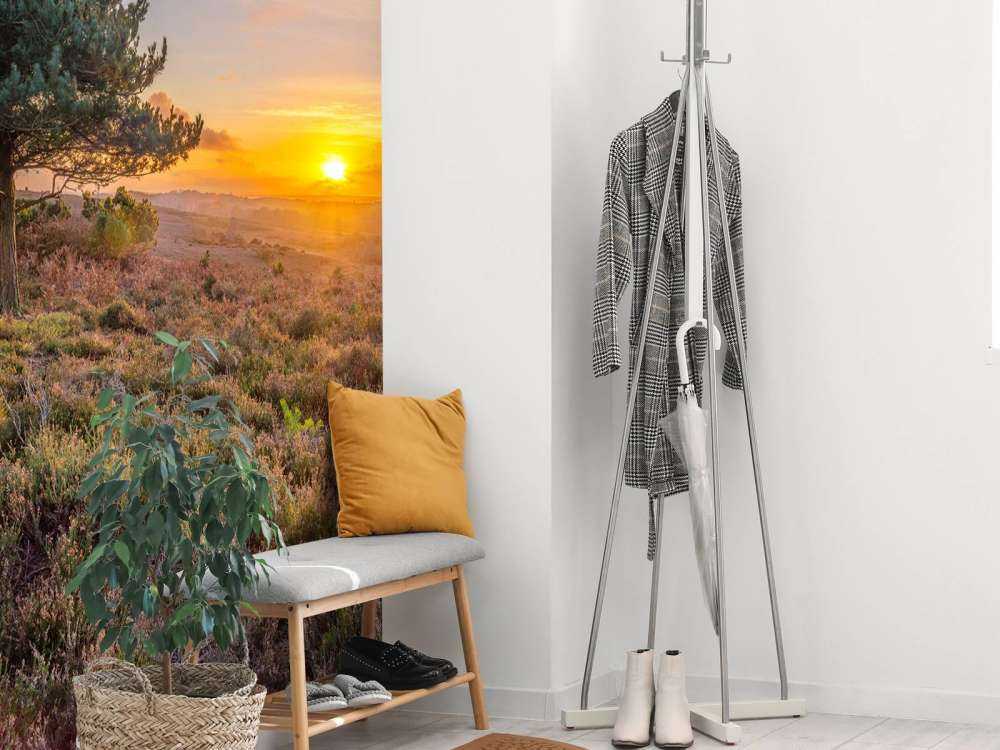 Solnedgang på myren