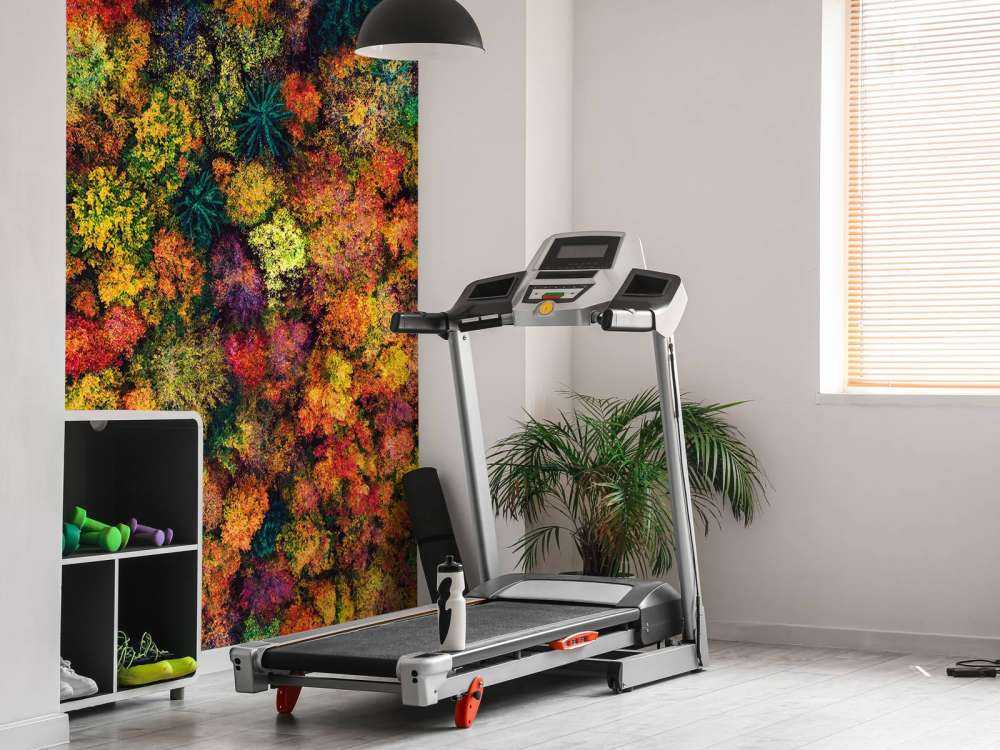 Luftfoto over høstskogen