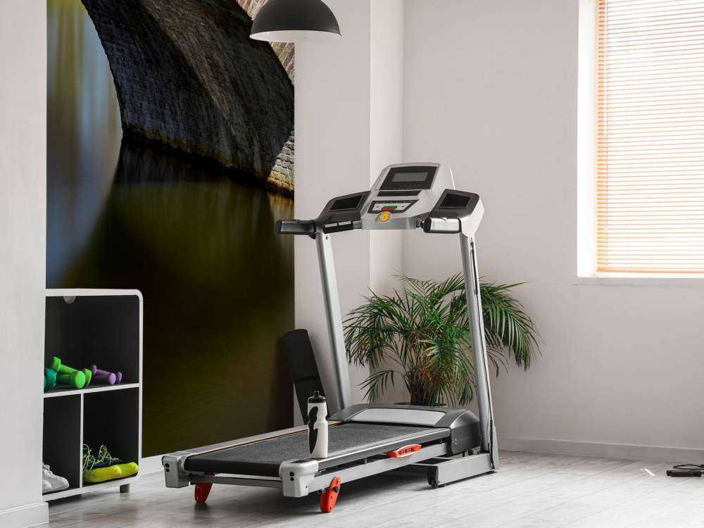 Gammel buebro til slott