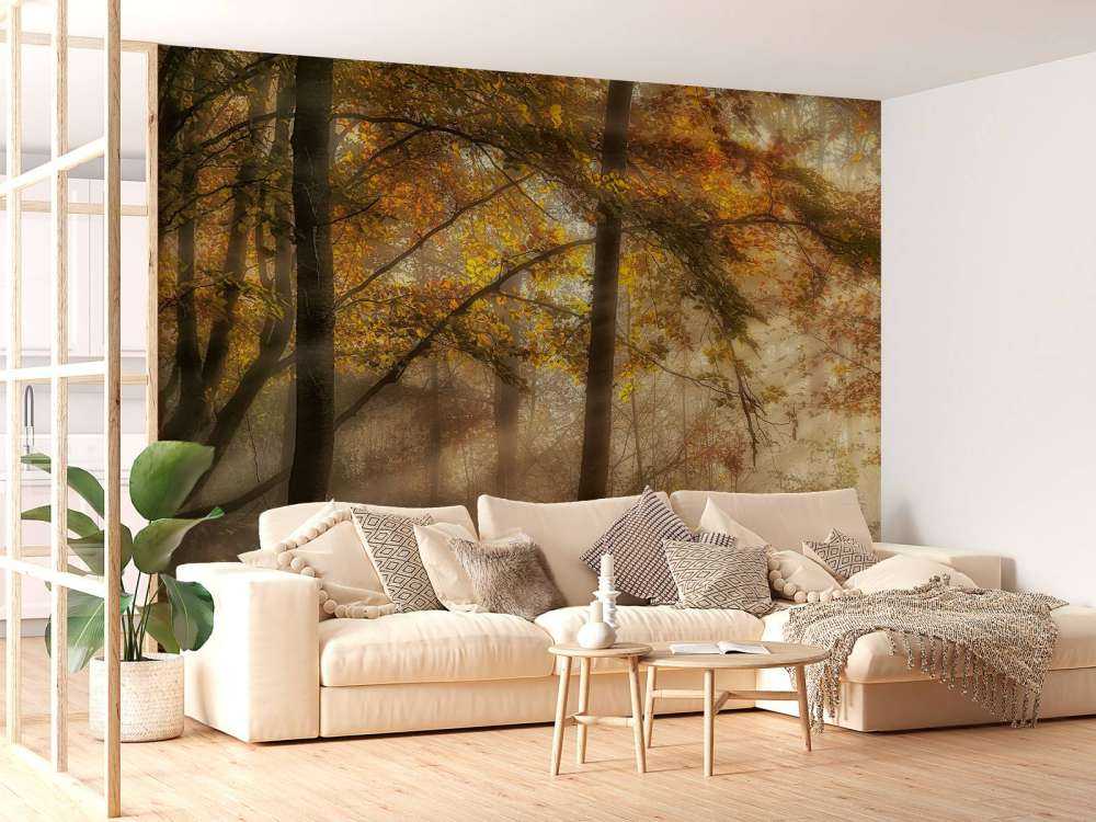 The lights of the forest