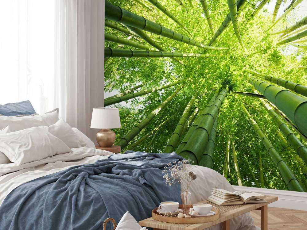 Bambu