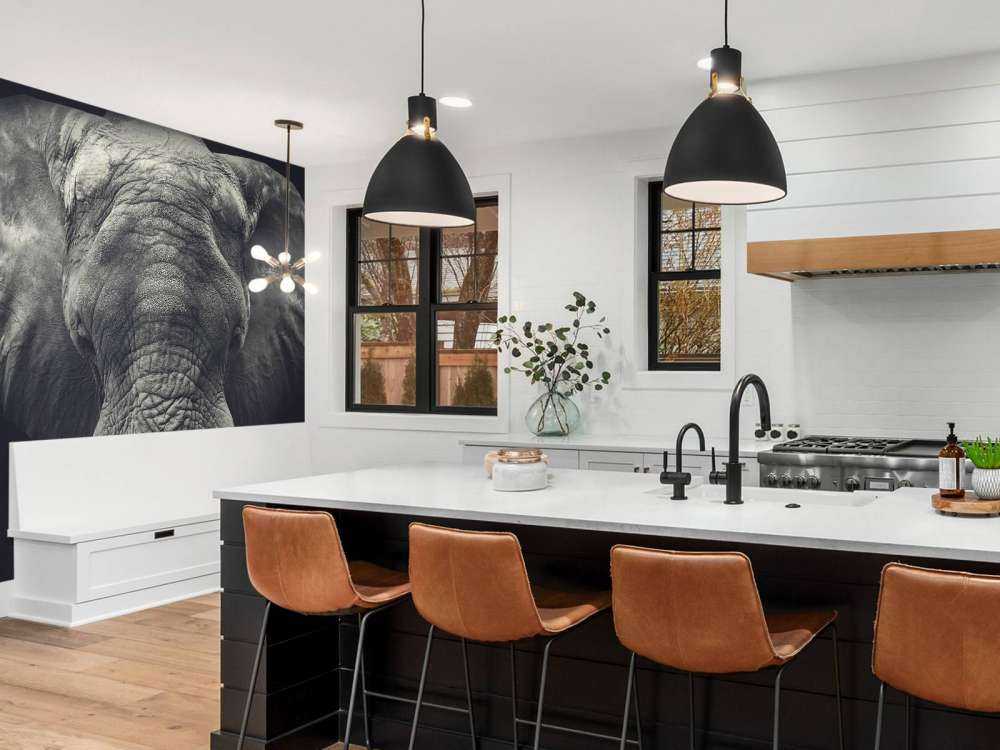 Närbild av en elefant