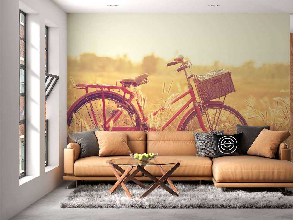 Vintage cykel