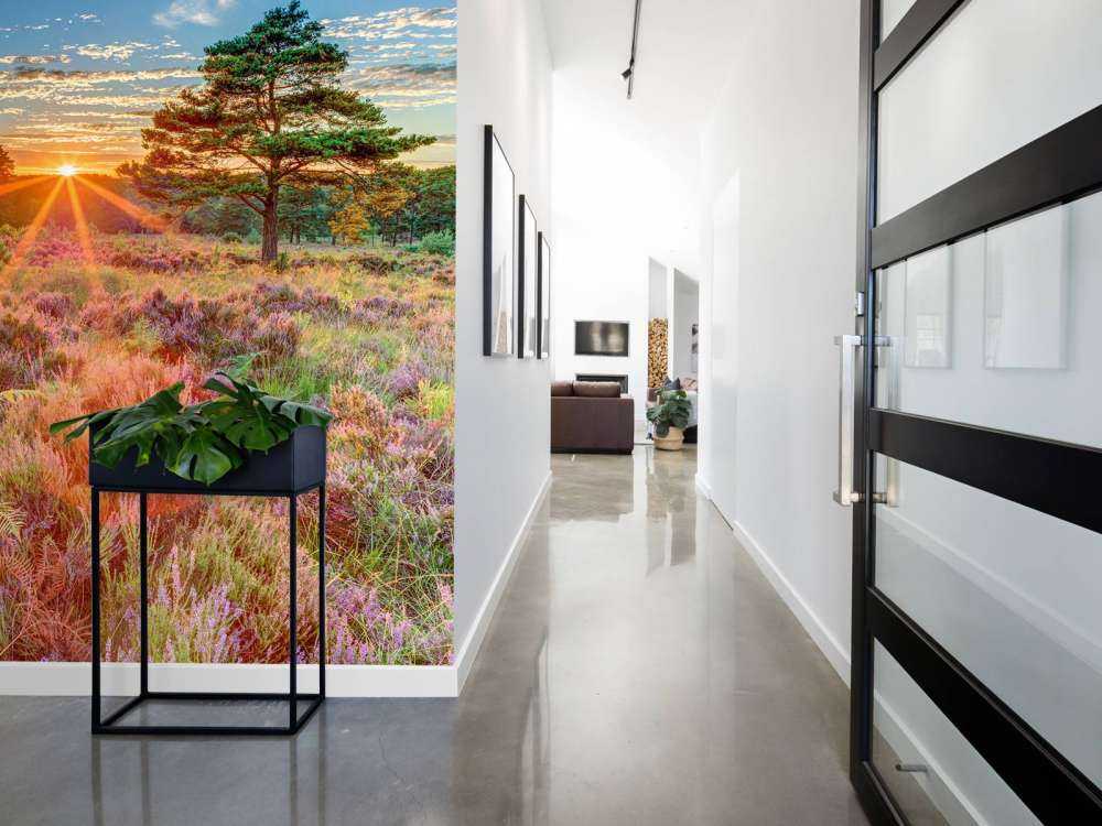 Solnedgång på landet