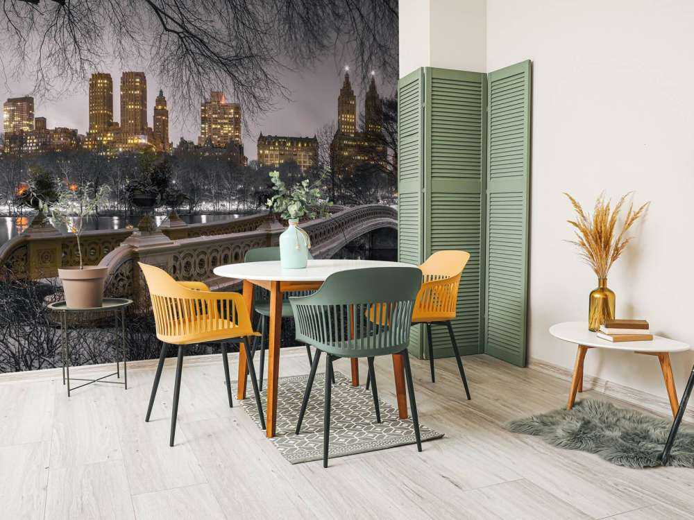 Central park och Manhattan