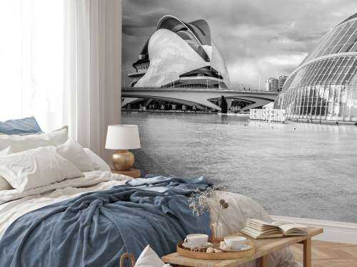 Operahuset - Palau de les arts Reina Sofia & Hemisfèric - Valencia