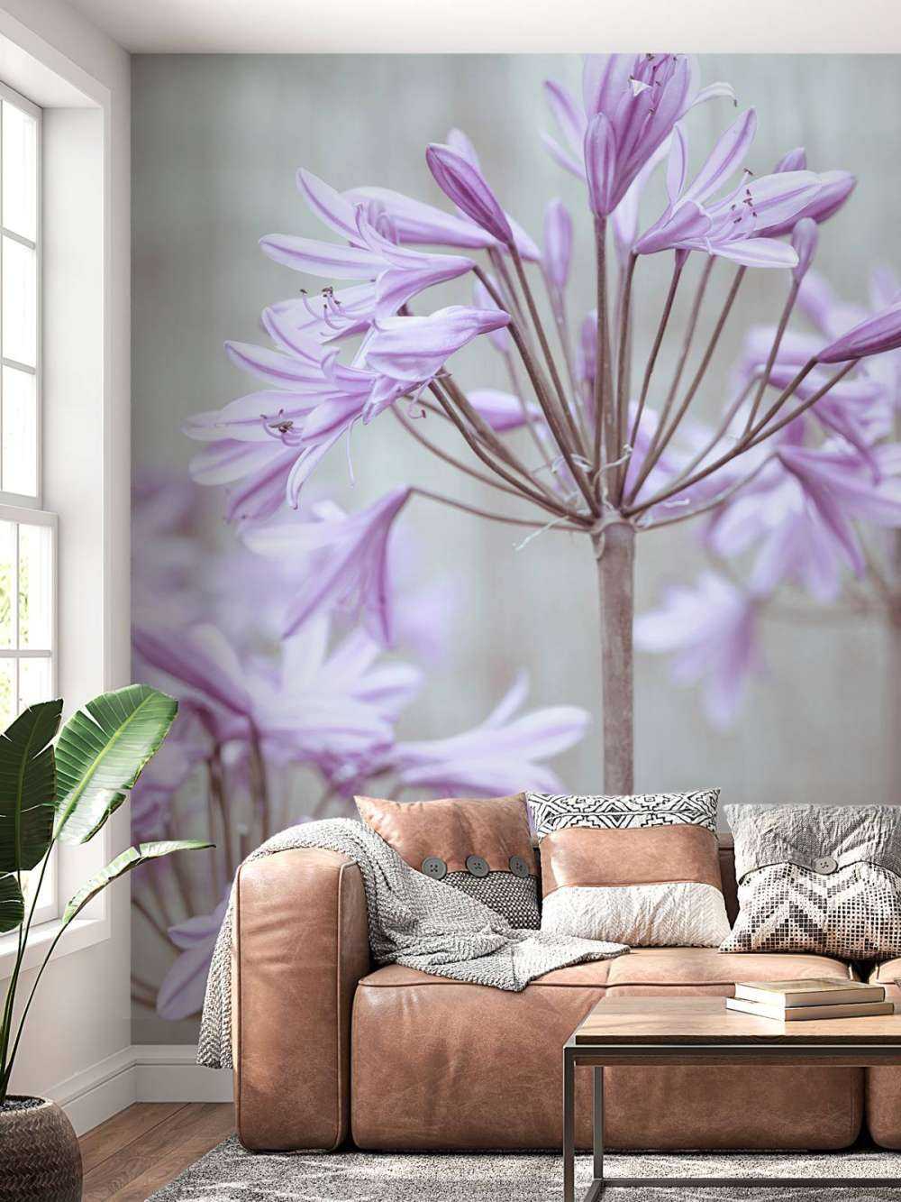 African Lilies