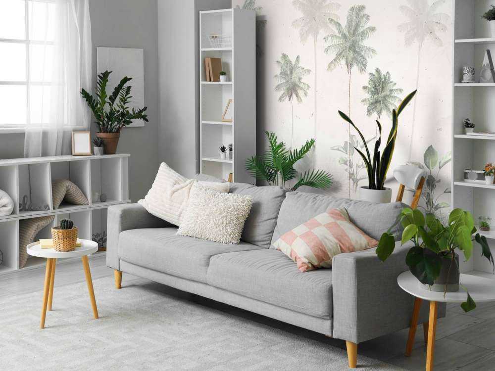 Tropisk Dimmig Morgon